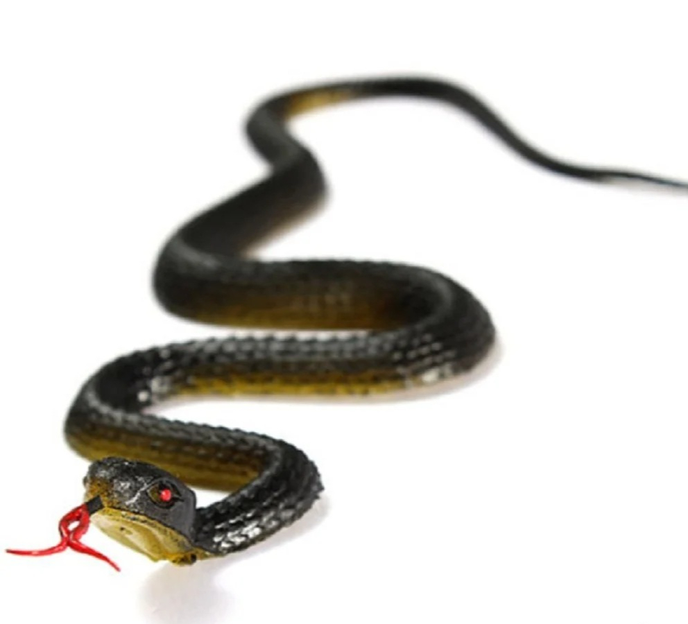 45cm Fake Realistic Rubber Toy - đánh giá và giá Prank Toys